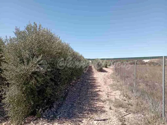 Suelo urbanizable en Venta en Caudete Albacete - foto 5