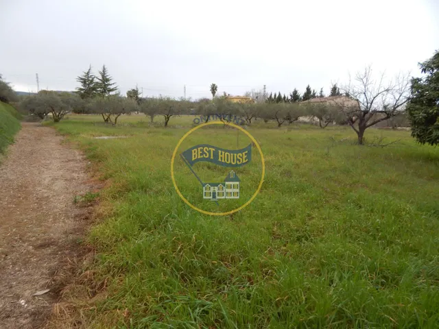 TERRENO MUY CERCA DE ONTINYENT — 3