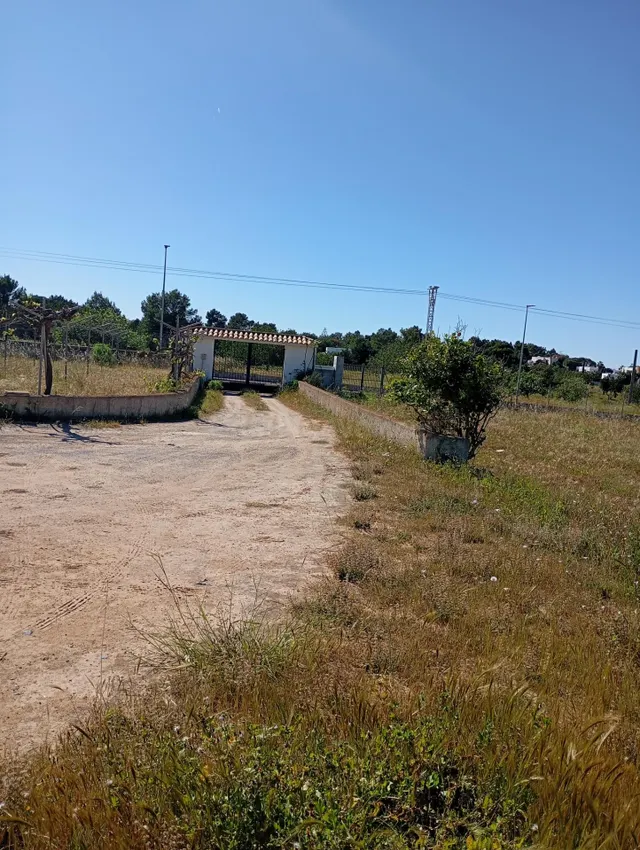 VENDEMOS CHALET CON TERRENO EN SAN AGUSTÍN - foto 5