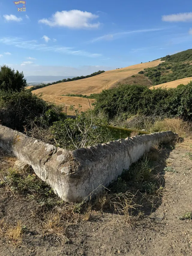TERRERO RÚSTICO EN ZONA CARRETERA ARCOS-ALGAR — 2