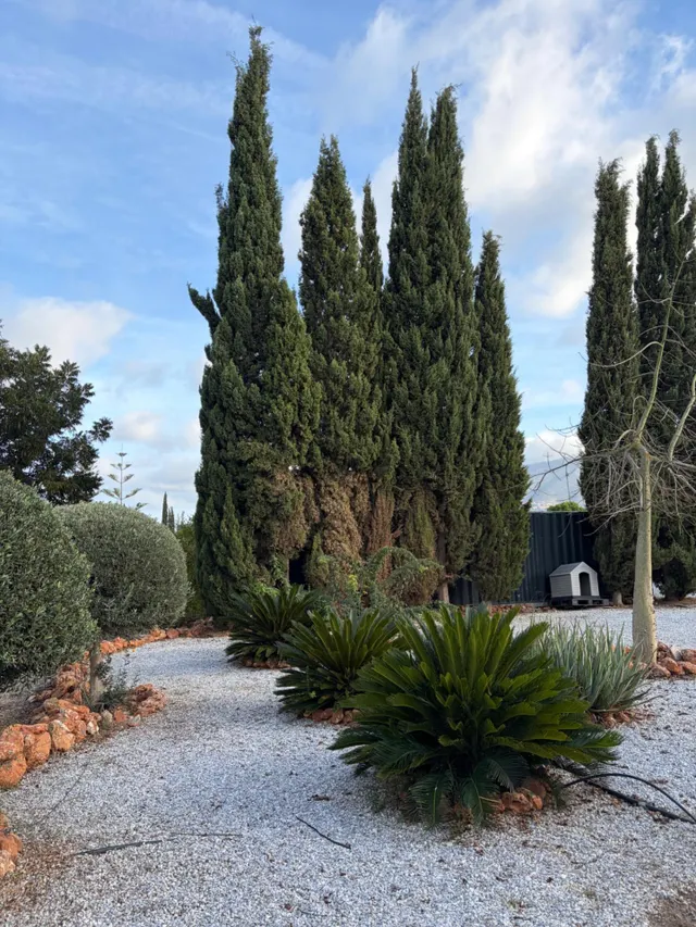 Fantástica finca rústica con 3.000 m2 de parcela en alahurín de la torre — 19