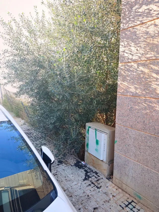Solar Urbano en Campos para Vivienda Unifamiliar - foto 2