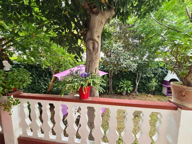 Chalet pareado - Bormujos — 41