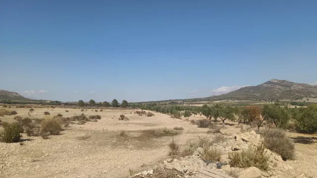 Parcela en venta - Comunidad valenciana — 12