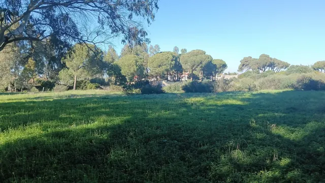 Parcela en Venta en El Pinar de los Franceses — 3
