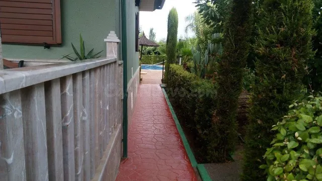 “Finca rústica con vivienda y vistas al campo en Cehegín” — 4