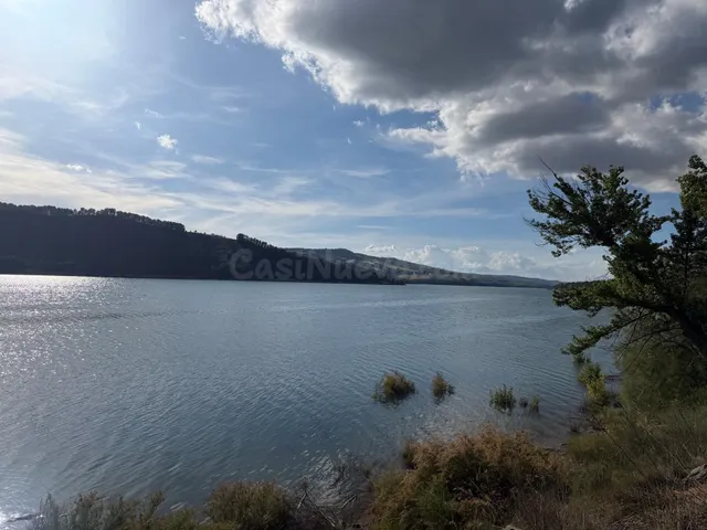 Bermejales (junto). Finca de olivar parte de riego y parte d - foto 4