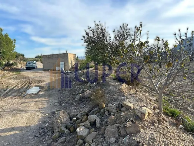 Parcela rústica urbanizable en Agost- 13.095m2 con viñas en  - foto 5