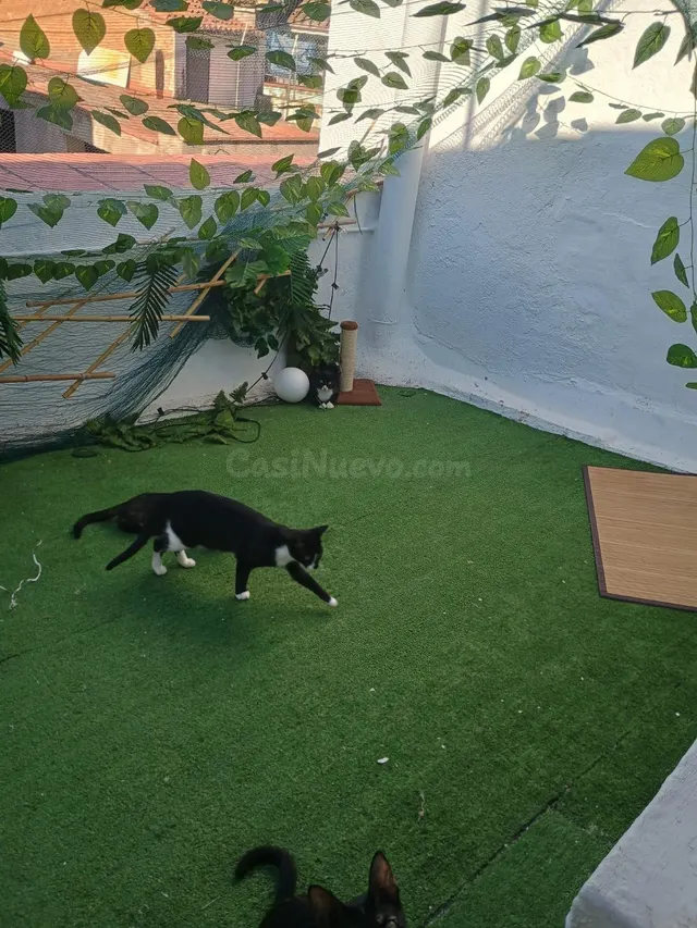 Acogedora casa de pueblo de 4 plantas con terraza, cerca de Peñíscola y Alcossebre — 2
