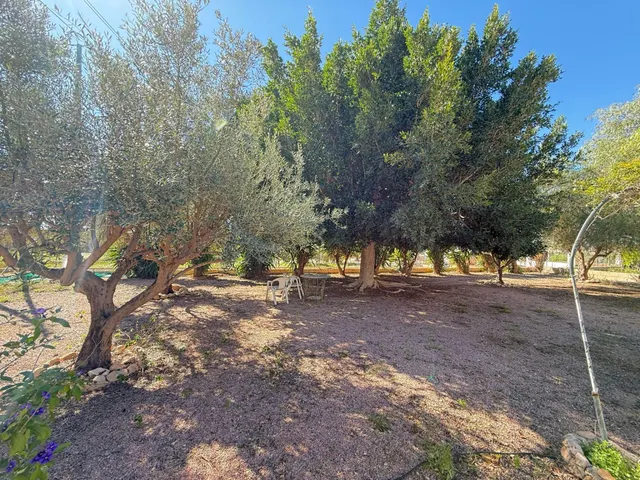 Encantador Chalet en Crevillente con Amplio Terreno y Piscina Propia — 26
