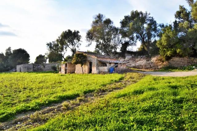 Finca rústica en venta con posibilidad de vivienda en Muro - foto 5