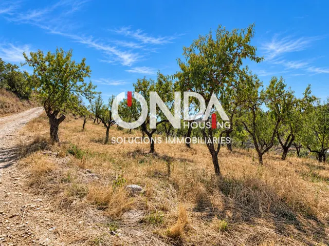 Finca rústica de 29.534 m2 con edificación de 314 m2 y pozo en Seixols, Tremp — 6