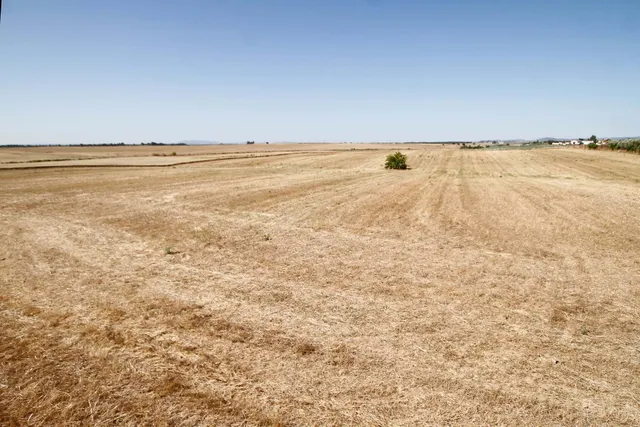 Terreno de 40.000 m junto Urb. Río Caya - foto 2