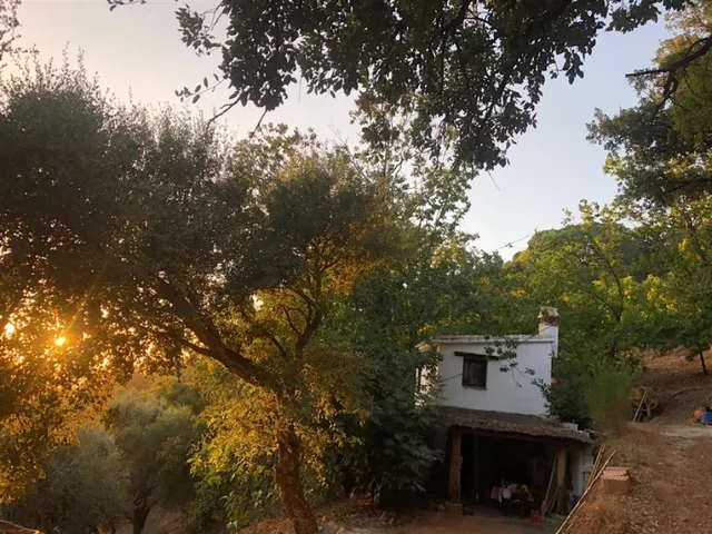 Casa de campo-Masía en Venta en Genalguacil Málaga - foto 2