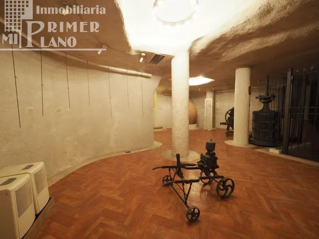 LOCAL EN EL CENTRO DE TOMELLOSO POR 115.000 € — 13
