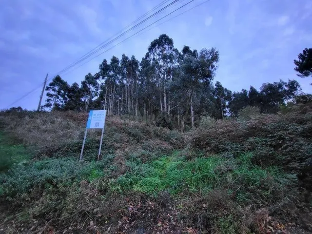 SUELO EN VENTA EN O VICEDO - foto 4
