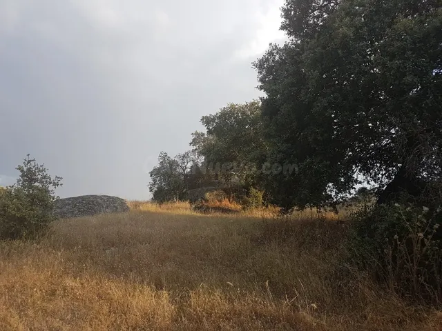 Terreno rural en venta - Alrededores - foto 3