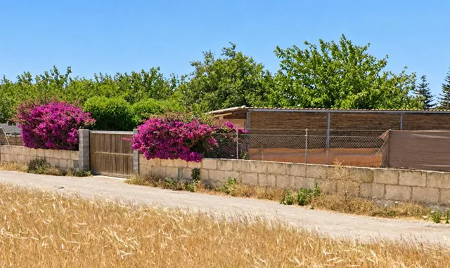 Finca rústica con casita acondicionada y terreno a 500 metros de Manacor — 18