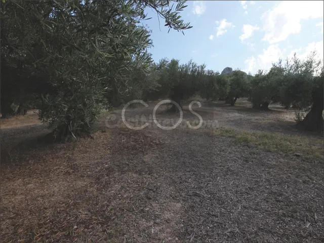 Parcela en venta - Jaen — 3