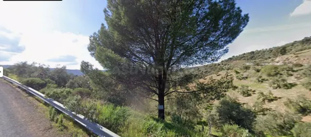 INVERSIÓN SEGURA CON ACCESO ASFALTADO Y RENTABILIDAD DESDE E