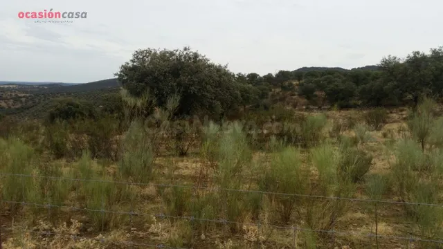 VENTA DE FINCA CINEGETICA - foto 5
