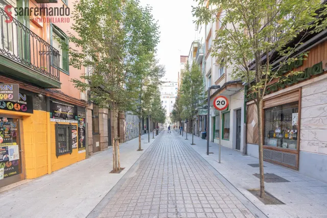 Vivienda para inversores en la Calle San Luis — 14
