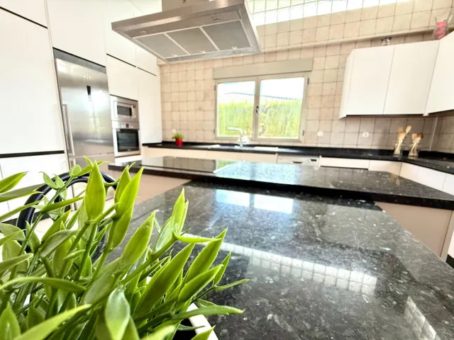 Descubre tu hogar ideal en La Alcayna — 31