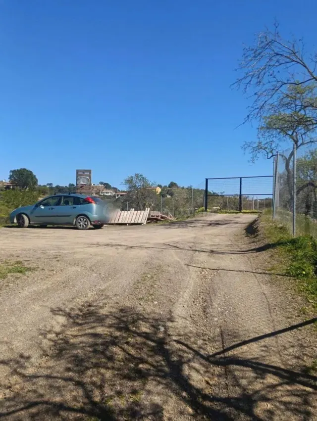 Finca olivar en Monda con vistas al pueblo y naturaleza - foto 5