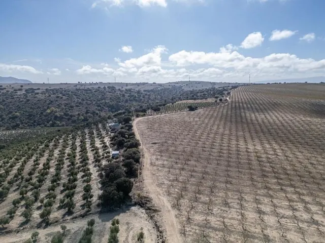 IMPRESIONANTE OPORTUNIDAD DE INVERSIÓN EN ALAMEDILLA!! — 7
