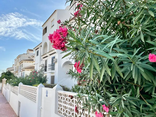 Apartamento con terraza, provincia de Alicante, Torrevieja. 1 habitación, 38 m2, 1 kilómetro al mar — 30