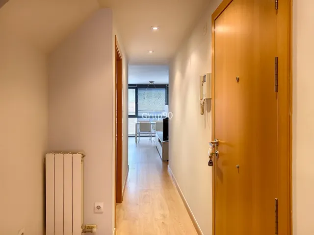 ÁTICO DÚPLEX CON TERRAZA PRIVADA JUNTO A RICARD VINYES — 30