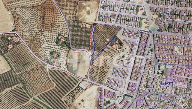 2,4 HECTÁREAS ESTRATÉGICAS EN UMBRETE (ALJARAFE – SEVILLA) - foto 3
