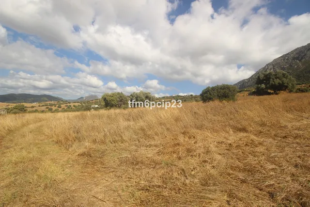 Finca rústica de 37.570 m² en Casares, Costa del Sol — 6