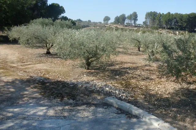 Terreno en la Ca Pallús - Ontinyent — 9