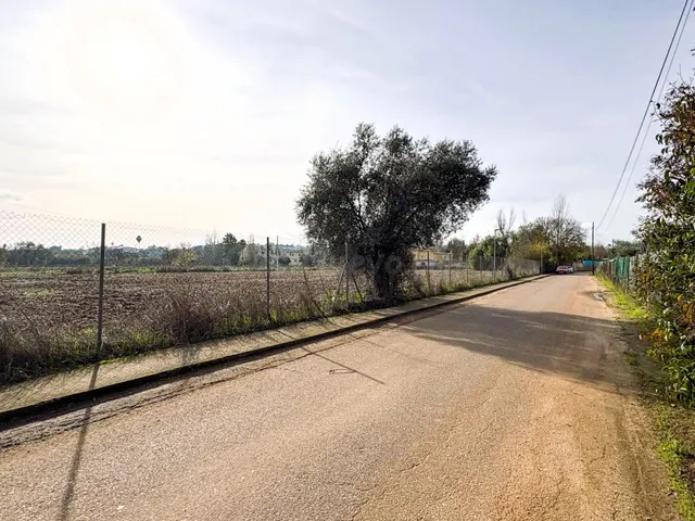 Terreno rústico proindiviso en Urbanización Los Lebratos - foto 5