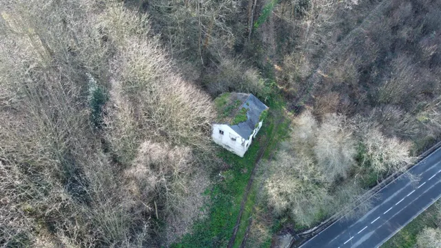 Oportunidad real: casa con parcela para rehabilitar en Tineo — 24