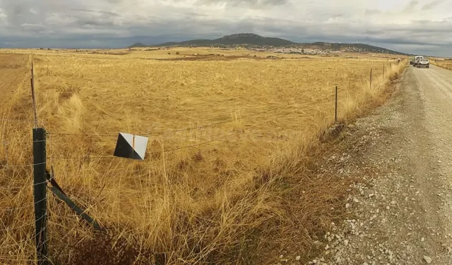 Gran Parcela de 7´5 ha. en Sierra de Fuentes - foto 3