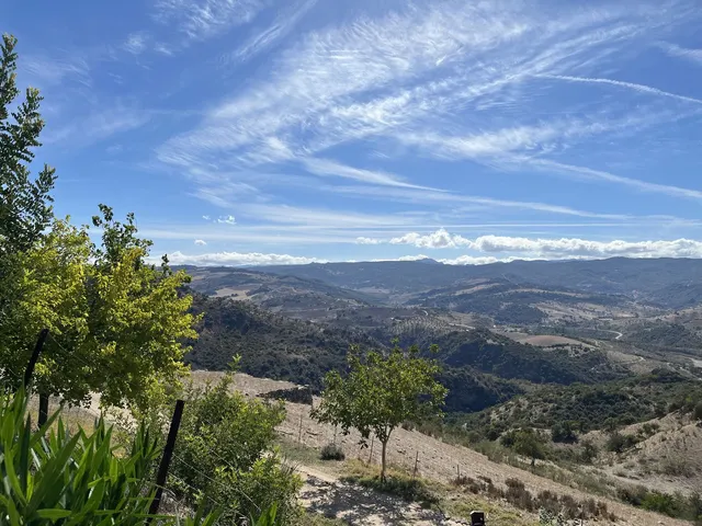 Parcela 130m² en venta - Centro — 22