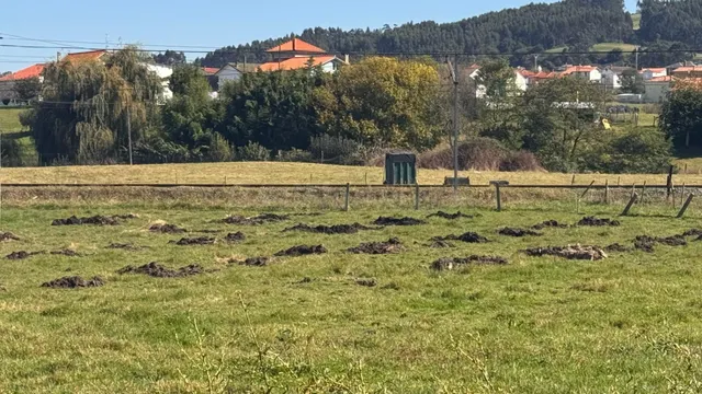 TERRENO URBANIZABLE PARA CONSTRUIR VIVIENDA EN POLANCO - foto 4