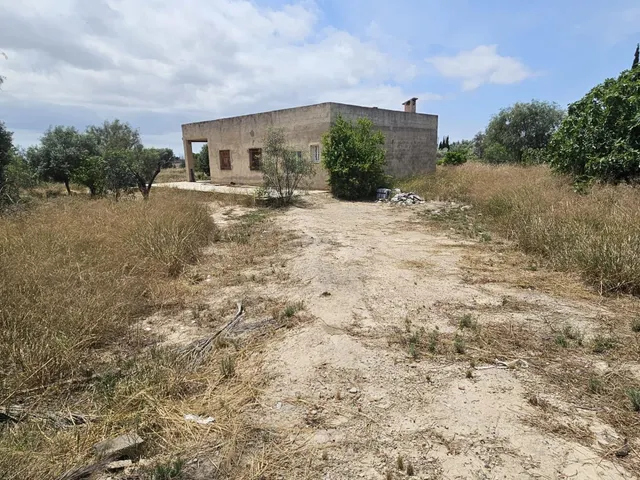CASA DE CAMPO PARA REFORMAR EN PARTIDA JUBALCOI- ELCHE — 5