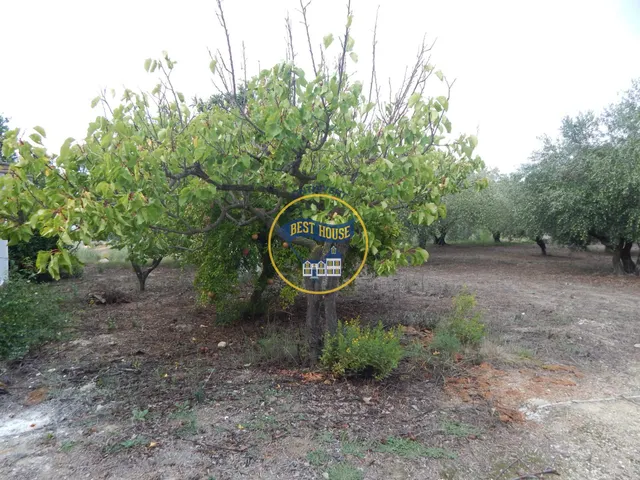 OPORTUNIDAD CASA DE CAMPO EN ONTINYENT EN UNA SOLA PLANTA — 48
