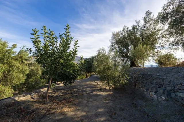 ¡Oportunidad única! Dos Fincas rústicas de mas de 15.000 m2 en total en Pinos del Valle. VENTA JUNTAS O SEPARADAS — 28
