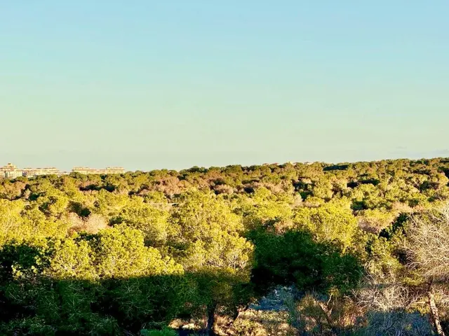 Adosado 3 habitaciones en venta - La Siesta - El Salado - Torreta — 7
