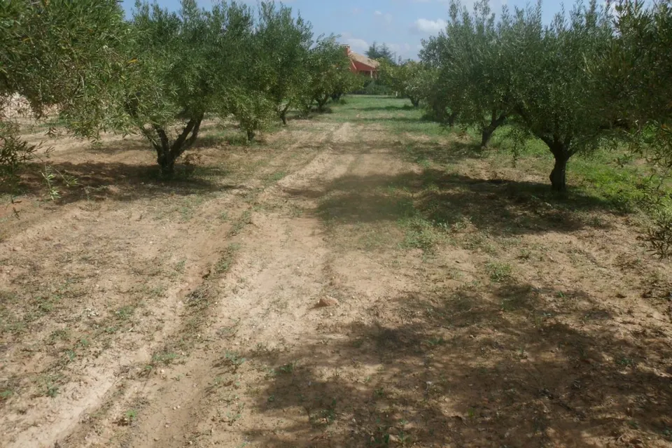 Terreno en Camí Les Boles - Ontinyent