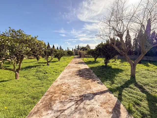 FANTASTICA FINCA CON PISCINA — 28