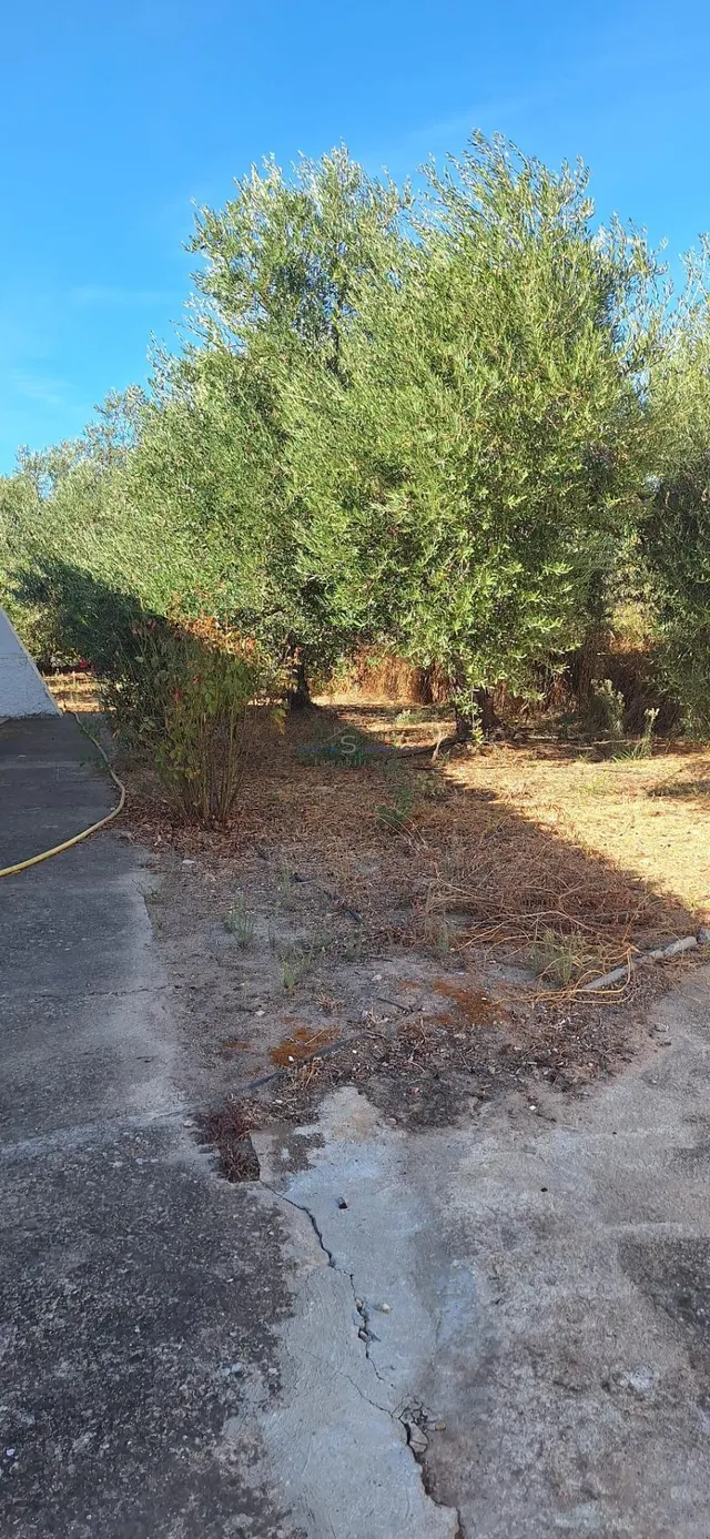 Finca Rustica En Gibraleon — 30