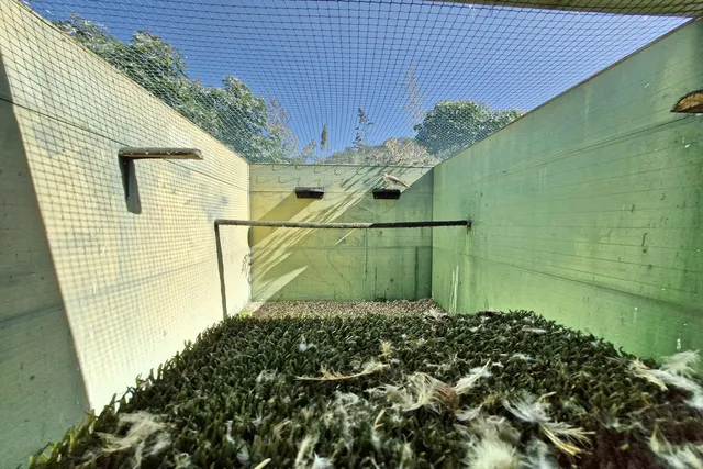 Finca Agrícola 3 habitaciones 163m² en venta - South of spain — 47