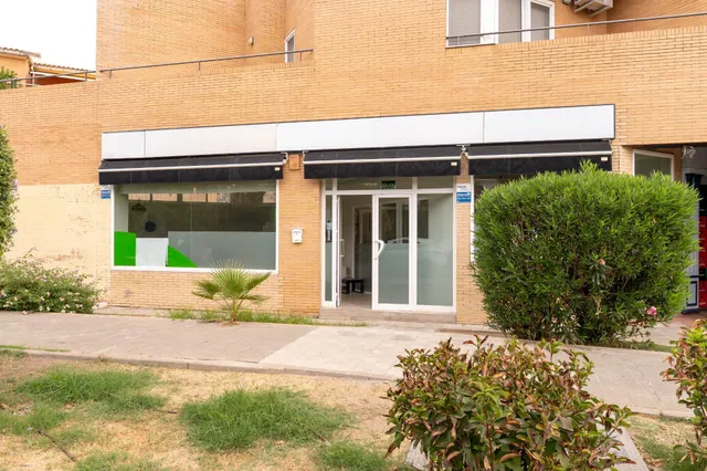 Excelente Local Comercial en la Mejor Zona de Tomares — 15
