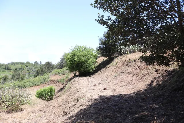 Terreno Agrario en Venta â Zona de Erjos (municipio de Los Silos / El Tanque) — 14