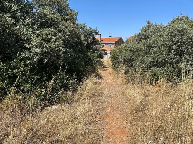 PARCELA EN EL BOSQUE DE HENARES PIOZ — 8